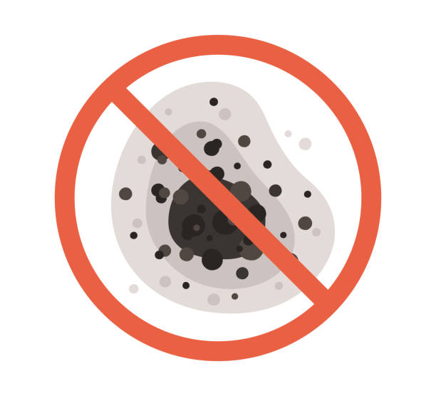 Best Mold Odor Removal Services  in Spanish Lake, MO