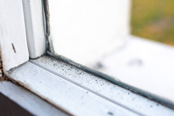  Spanish Lake, MO Mold Removal Pros